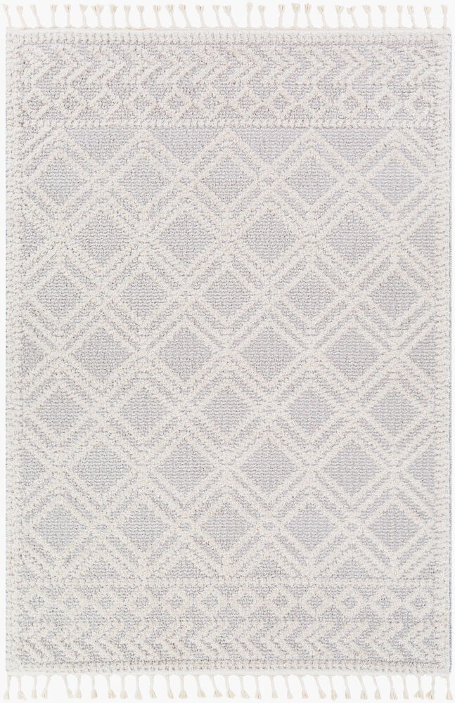 Valencia Machine Woven Rug