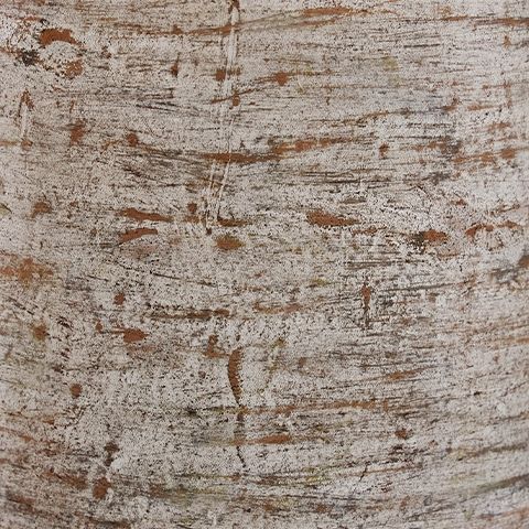 Wellbridge - Vase - Distressed White