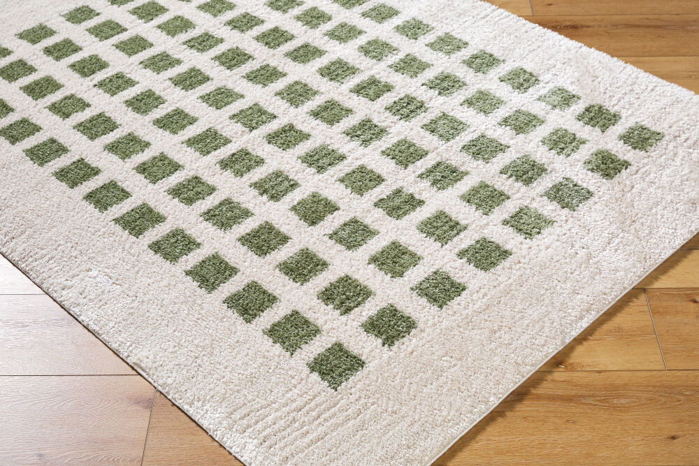 Fossay Shag Machine Woven Rug