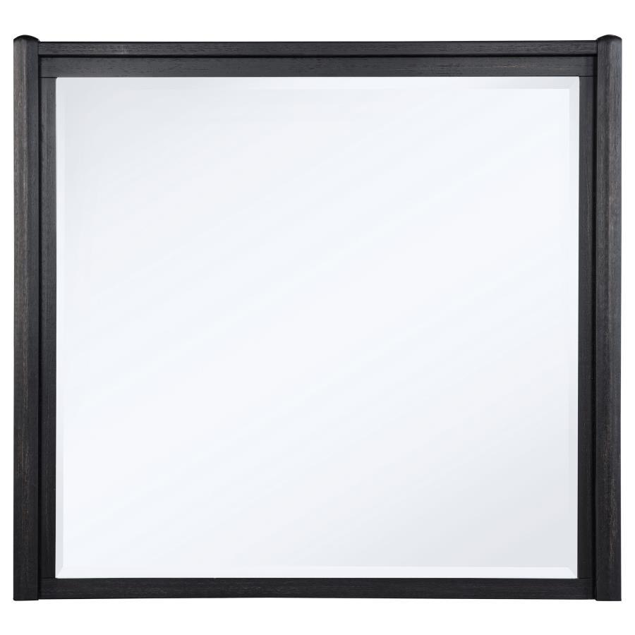 Leandro - Dresser Mirror - Burnished Black