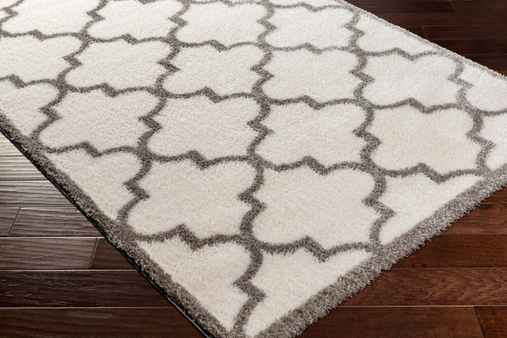 Cloudy Shag Machine Woven Rug