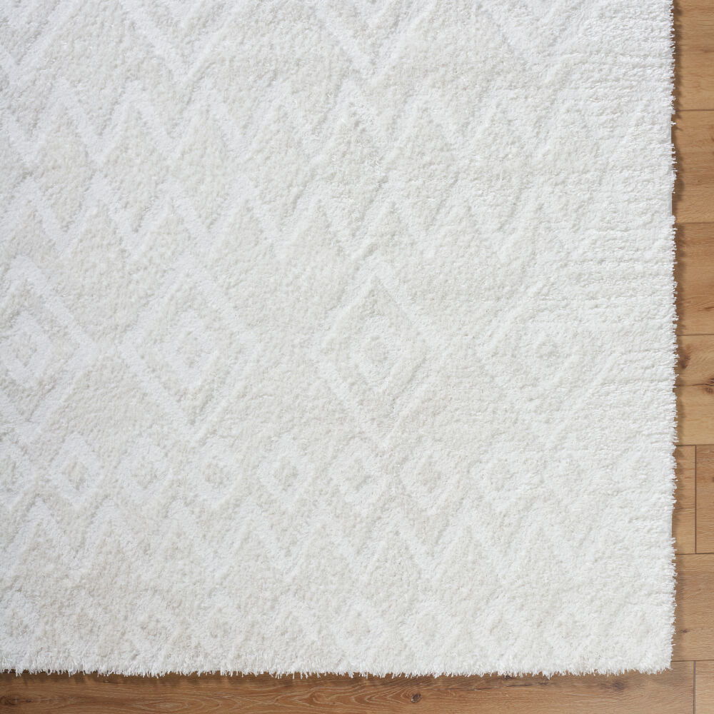 Nomadic Machine Woven Rug
