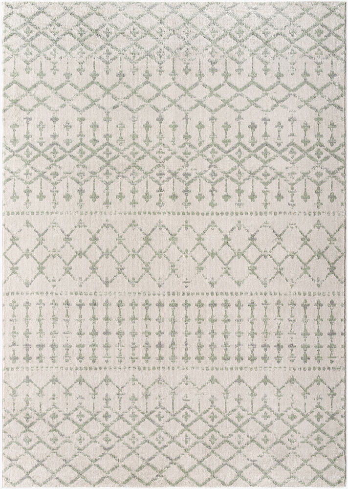 Roma Machine Woven Rug