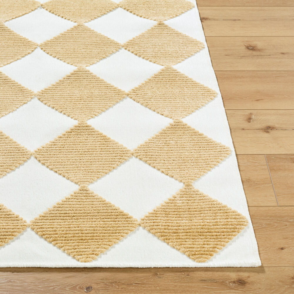 Lyna Machine Woven Rug