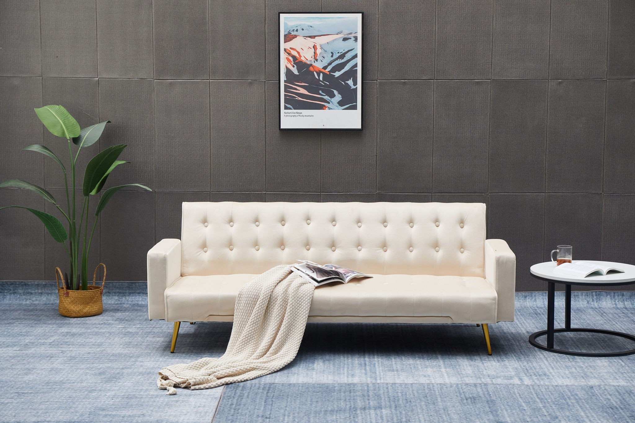 Comfort Compact Design Sofa Bed