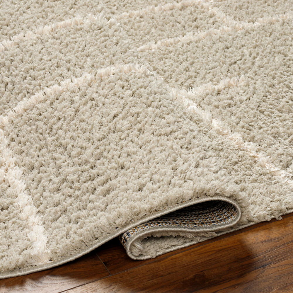 Maryland Shag Machine Woven Rug