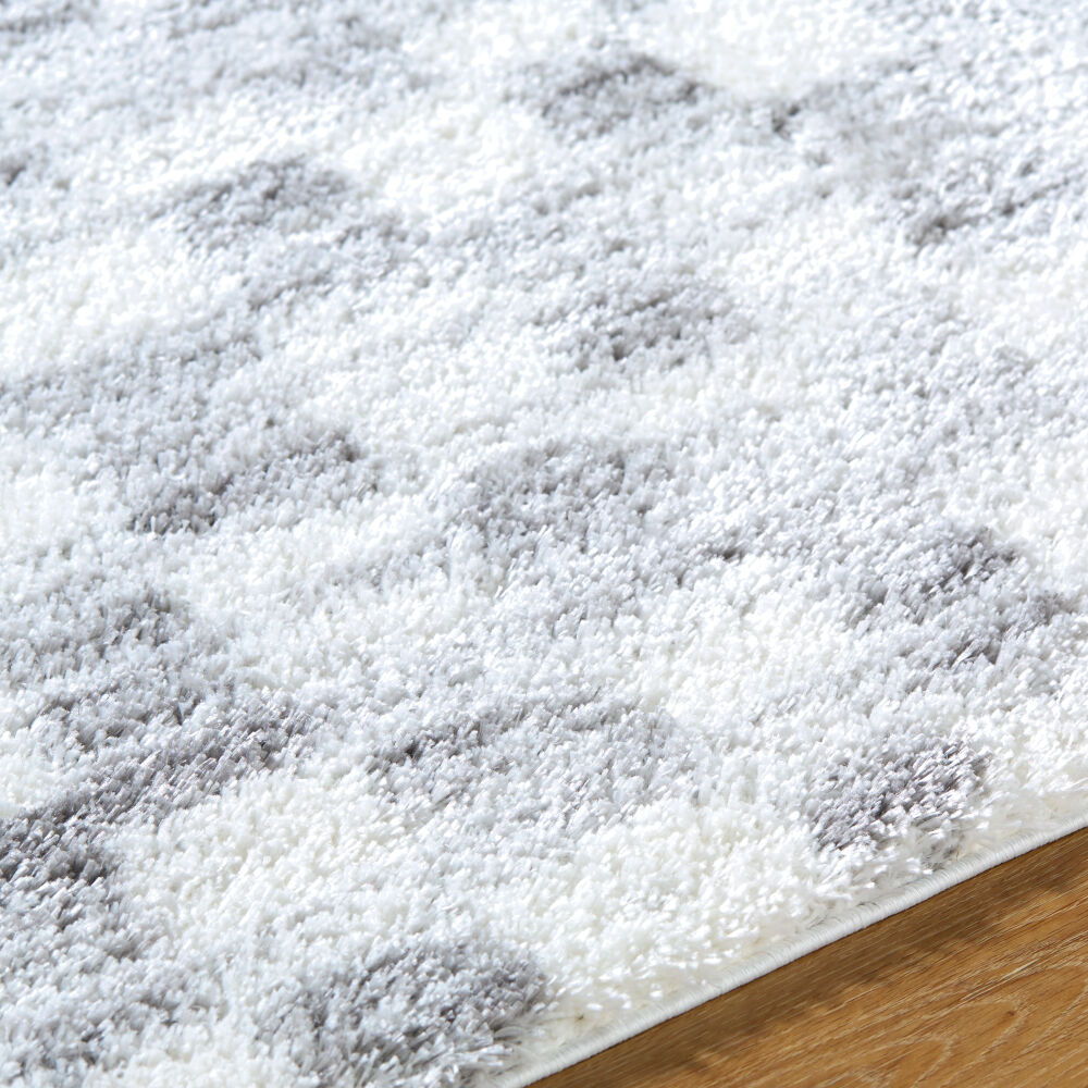 Cloudy Shag Machine Woven Rug