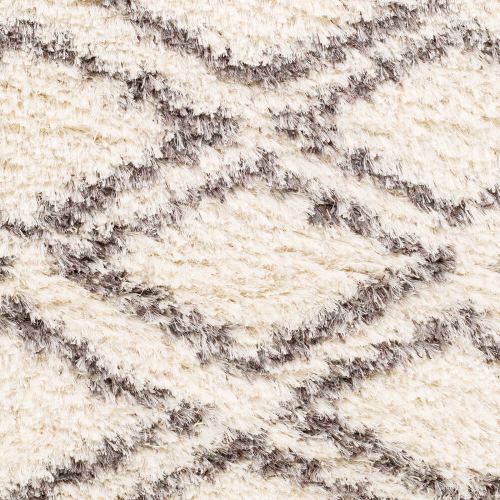 Rhapsody Machine Woven Rug
