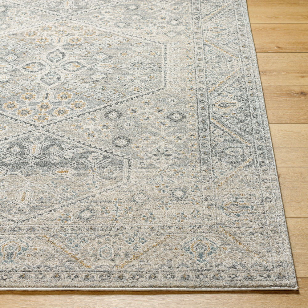 Alpharetta Machine Woven Rug
