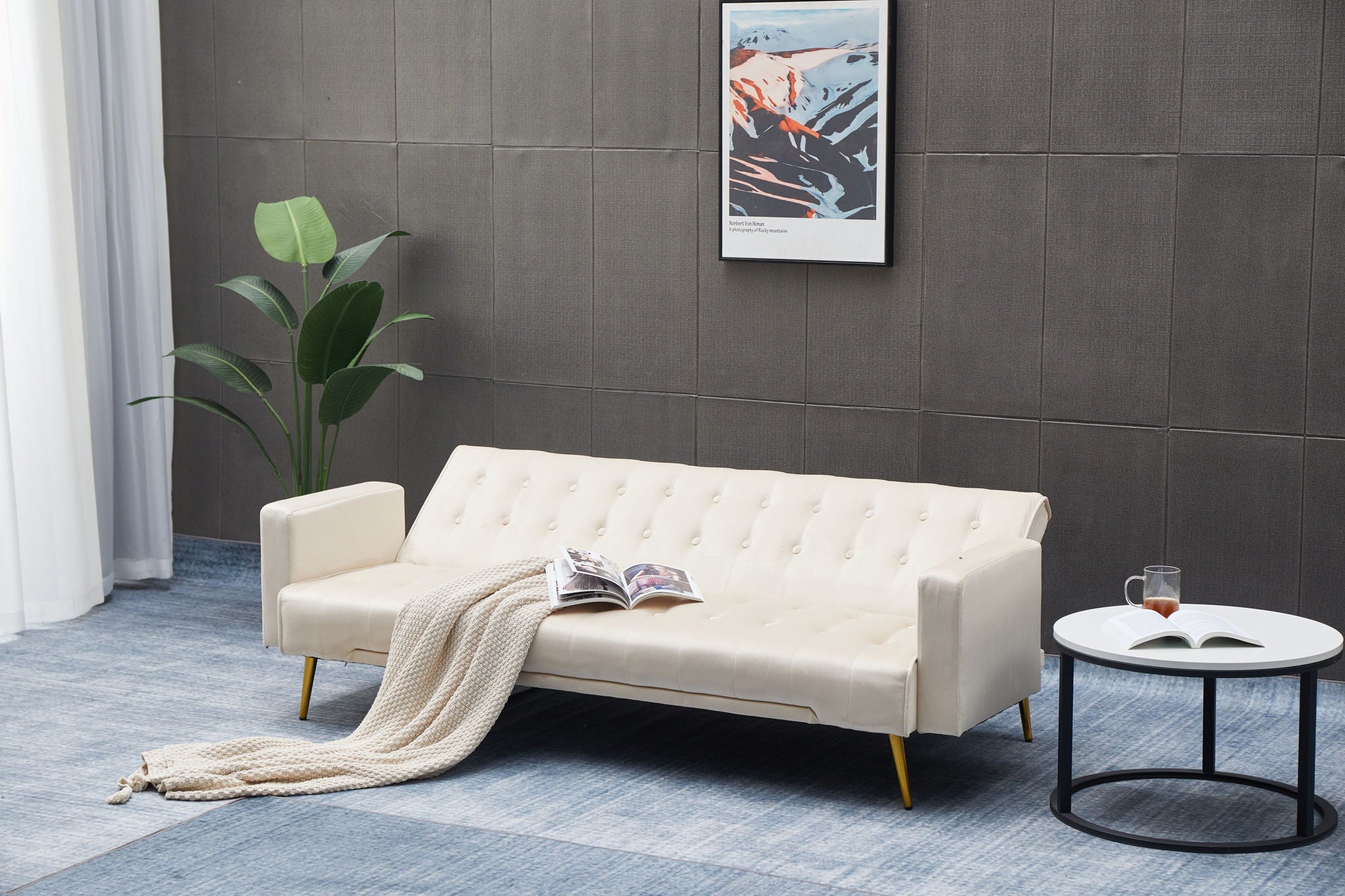 Comfort Compact Design Sofa Bed