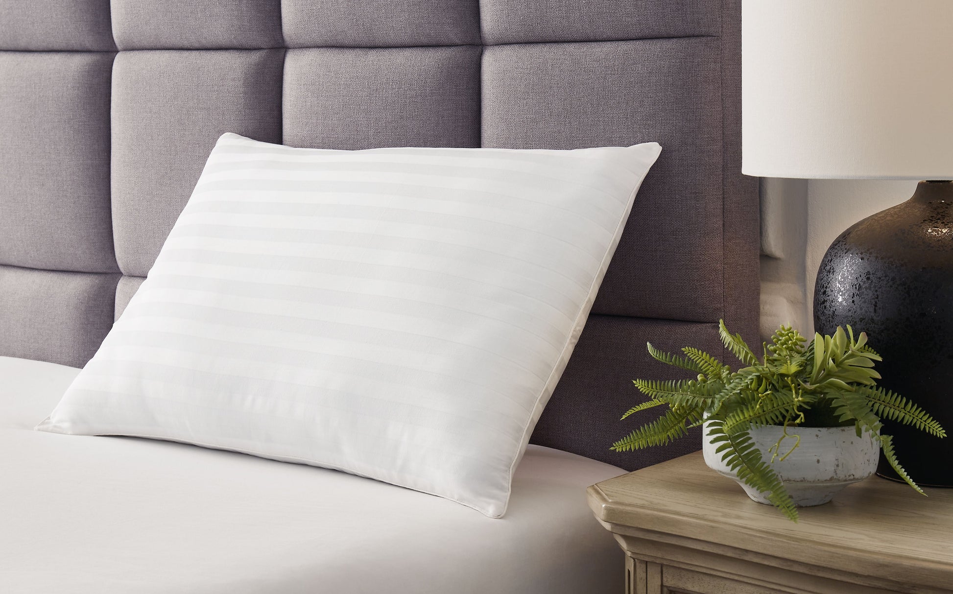 Ashley Sleep® Zephyr 2.0 - Cotton Pillow | Meri Furniture