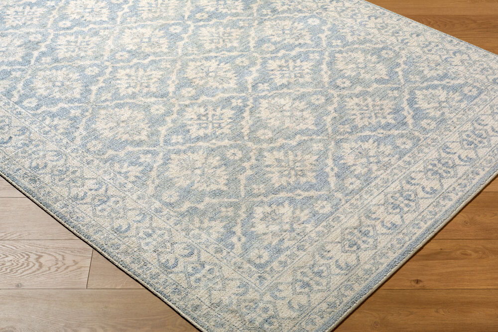 Aram Machine Woven Rug