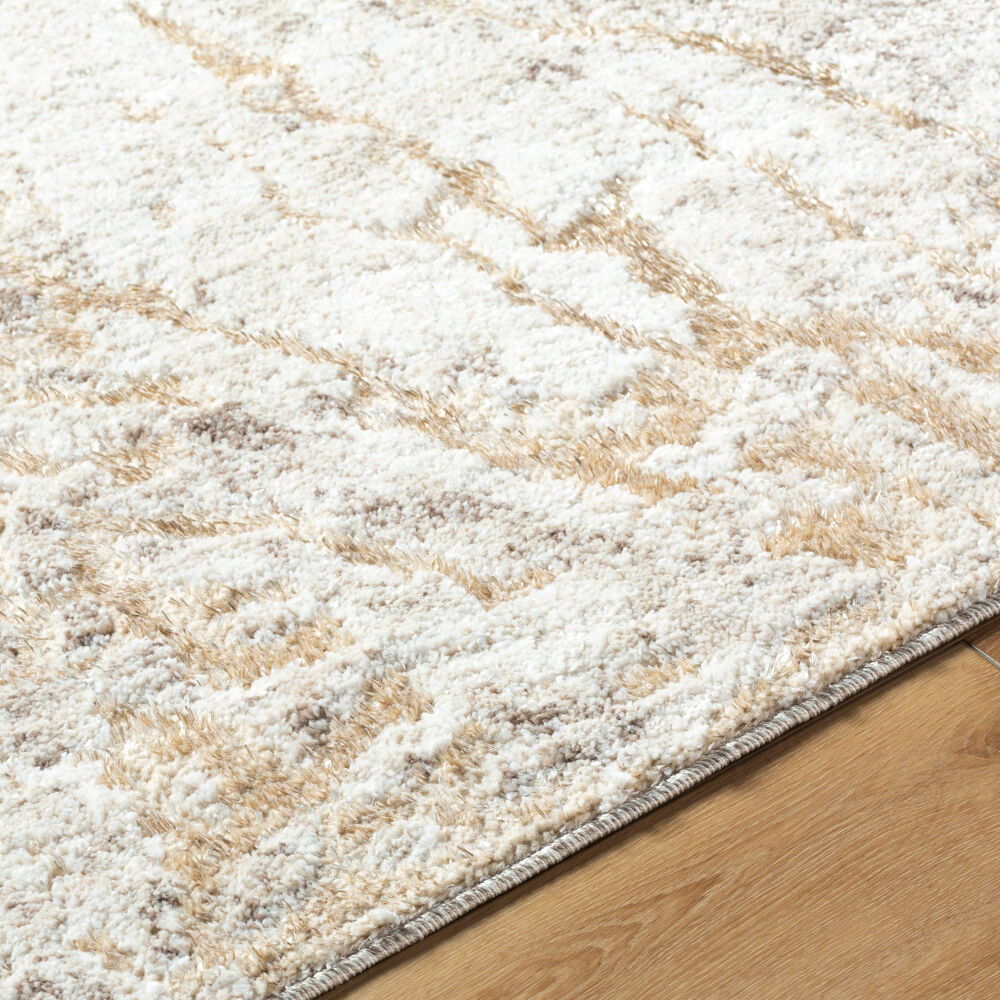 Andorra Plus Machine Woven Rug