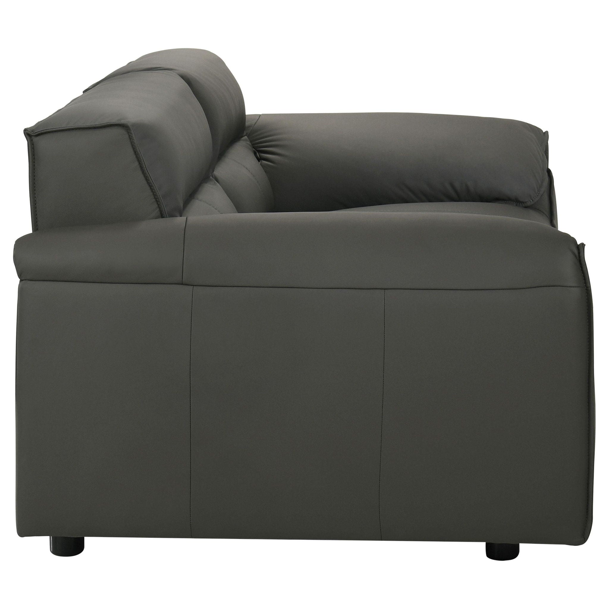 Buxton 2-piece Leather Upholstered Sofa Set Graphite