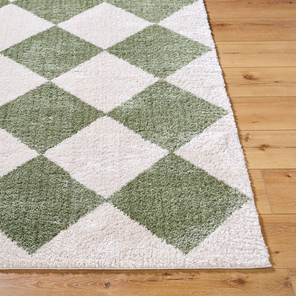 Fossay Shag Machine Woven Rug
