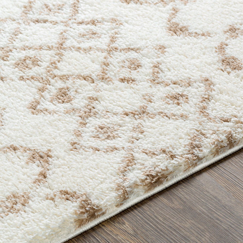 Aliyah Shag Machine Woven Rug