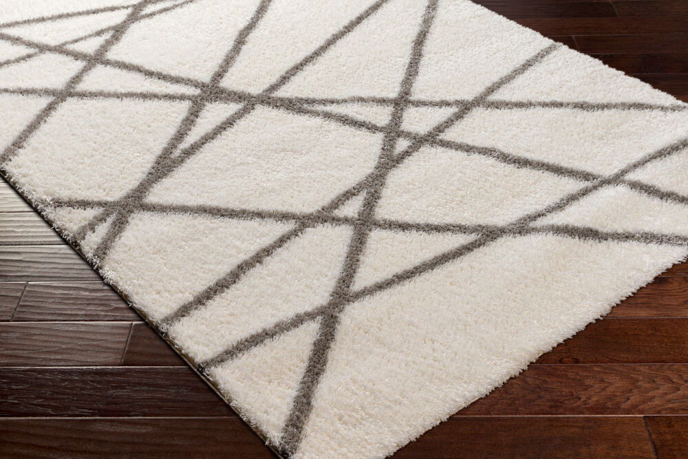 Cloudy Shag Machine Woven Rug