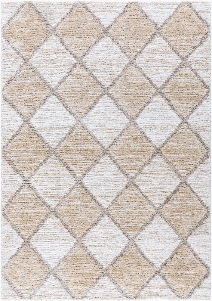 Delight Shag Machine Woven Rug