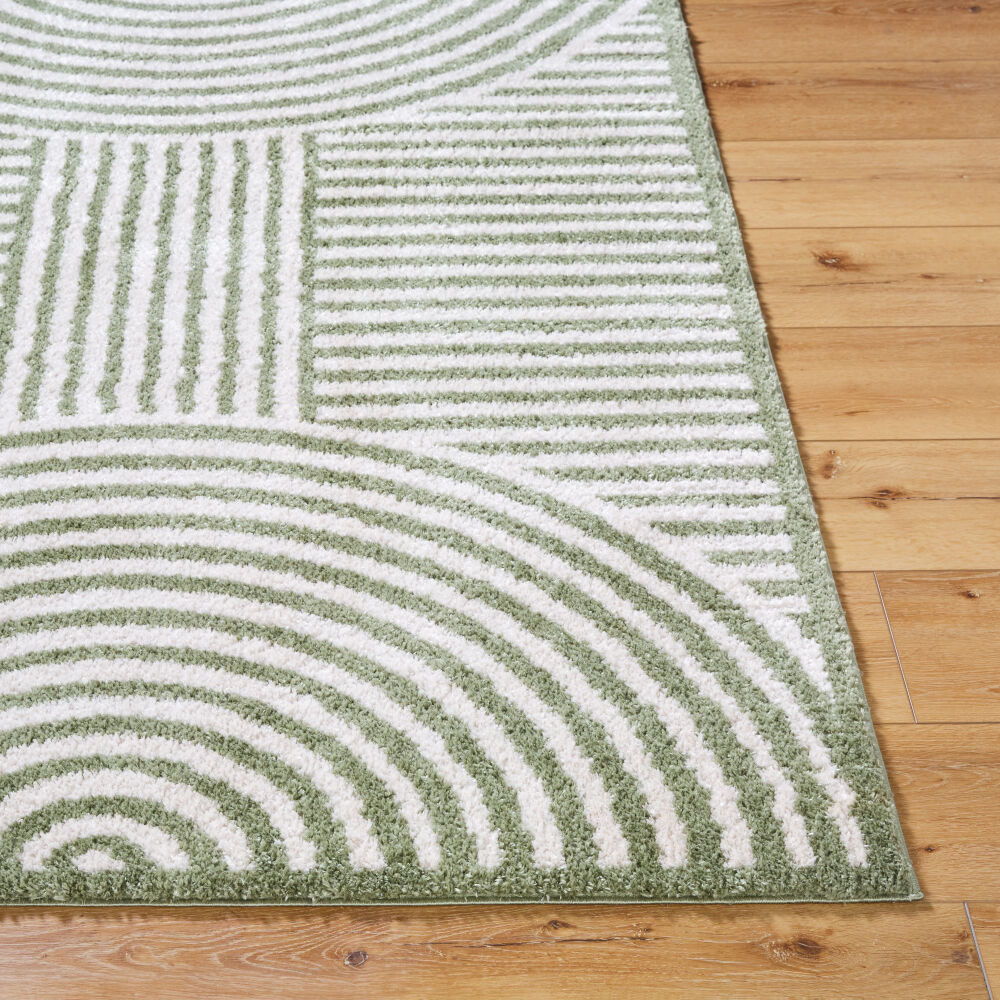 Fossay Shag Machine Woven Rug