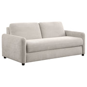 Coaster Fine Furniture Rylie - Upholstered Sofa Sleeper With Mattress | Meri Furniture