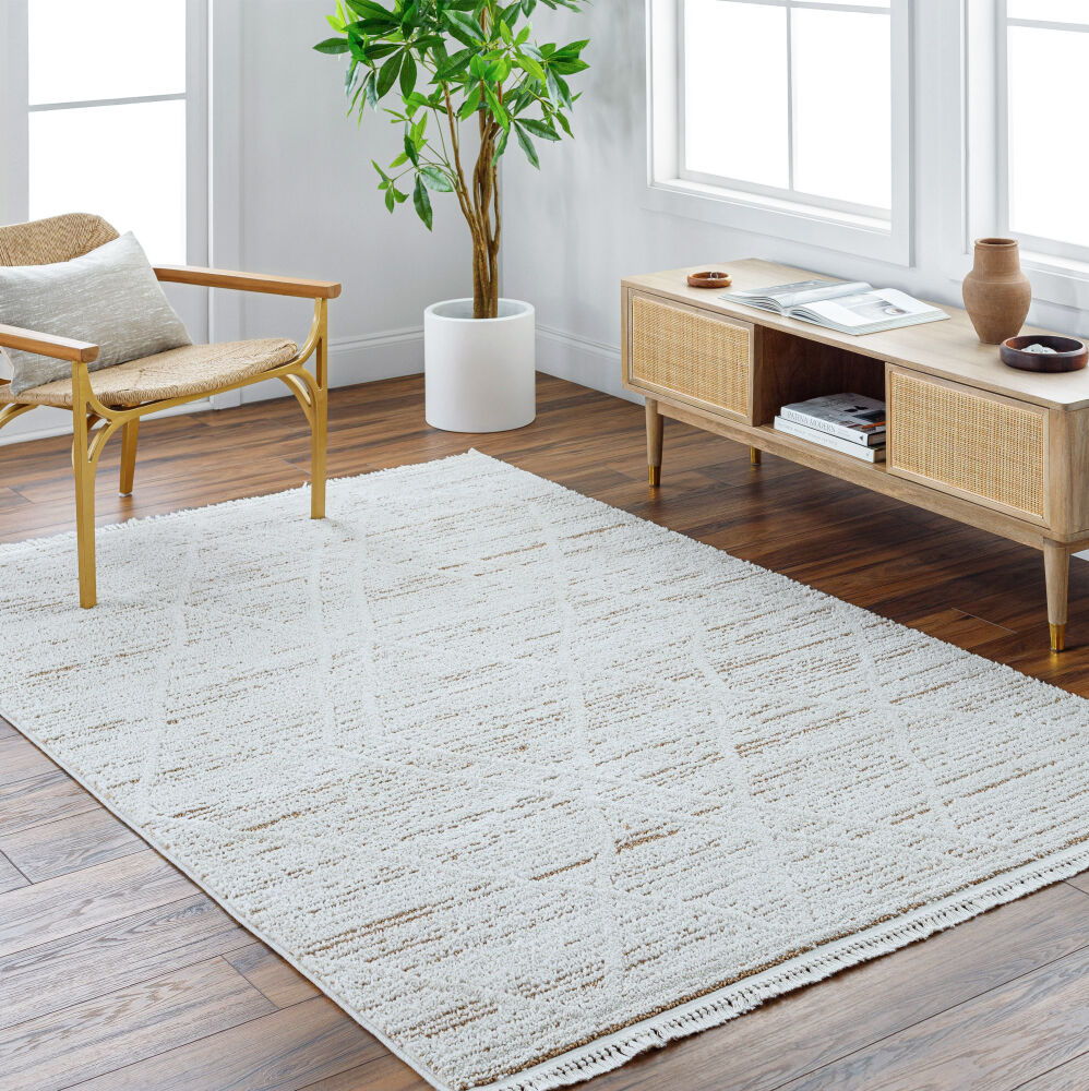 Berlin Machine Woven Rug