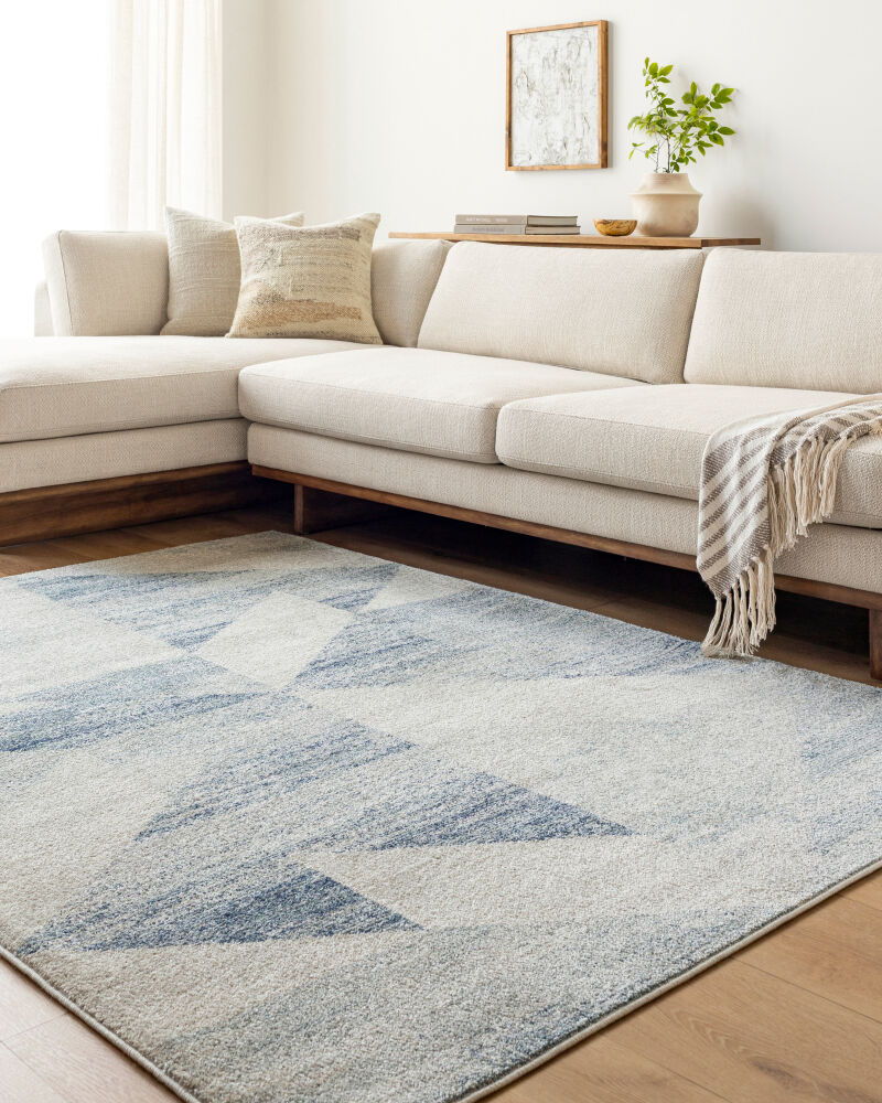 Alpharetta Machine Woven Rug