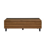 Avala - Coffee Table - Walnut & Black