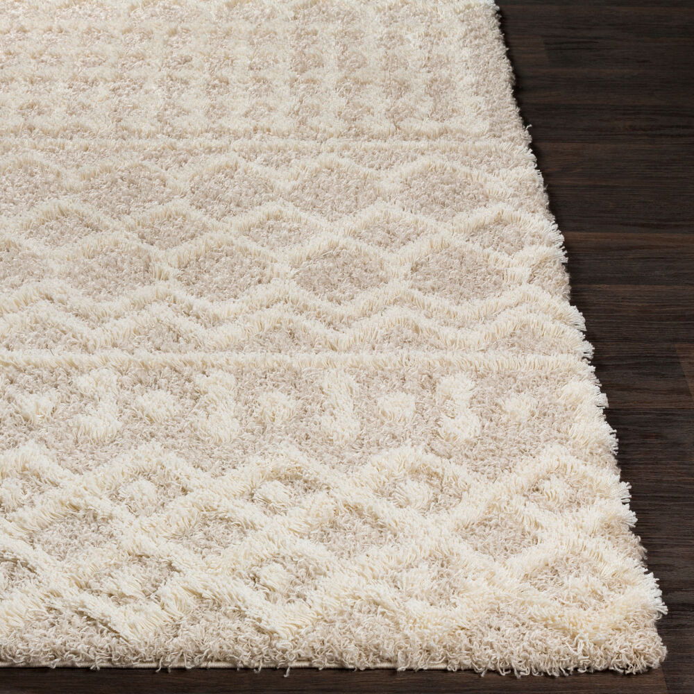 Urban Shag Machine Woven Rug