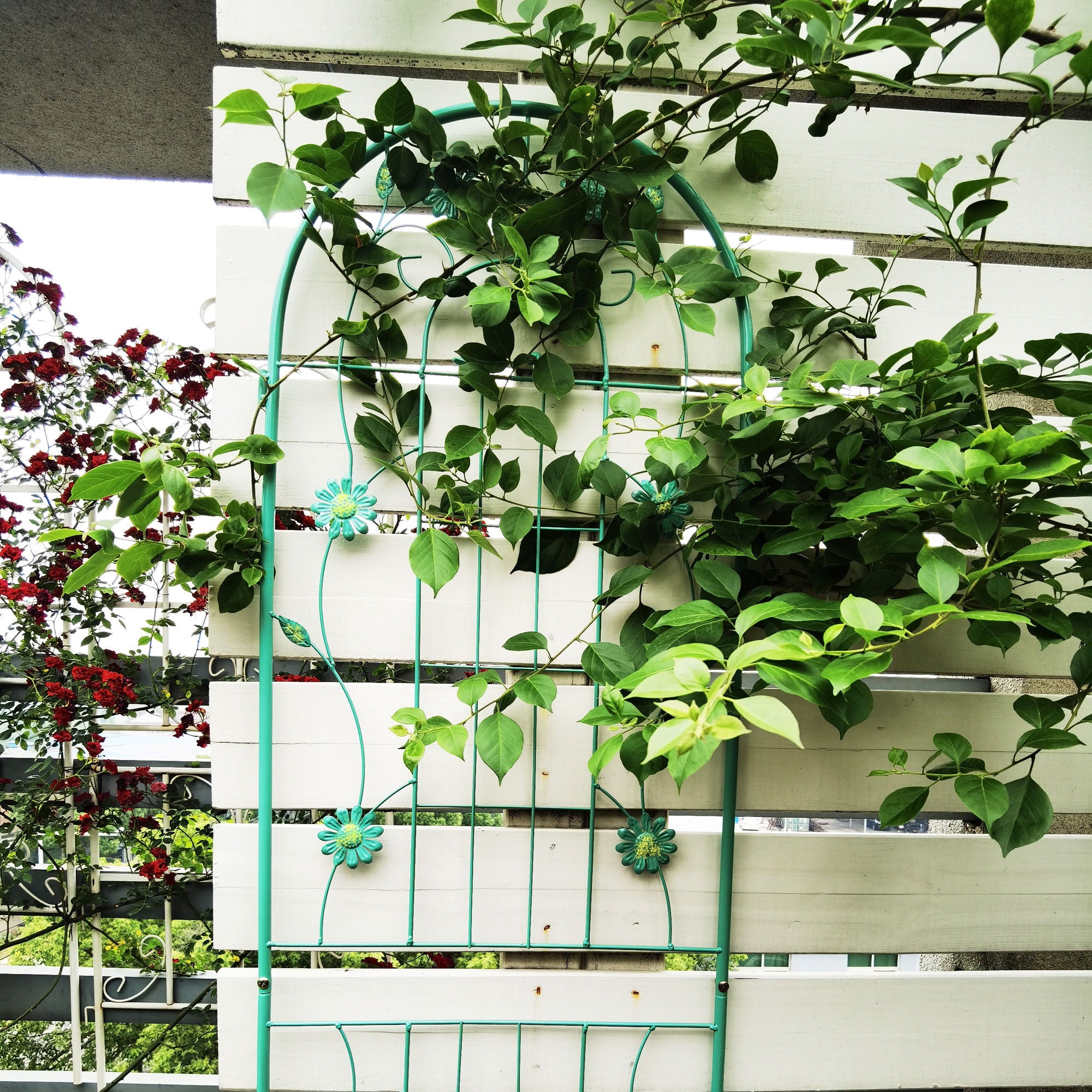 Metal Garden Trellis Rustproof Trellis For Climbing Plant Outdoor Flower Support