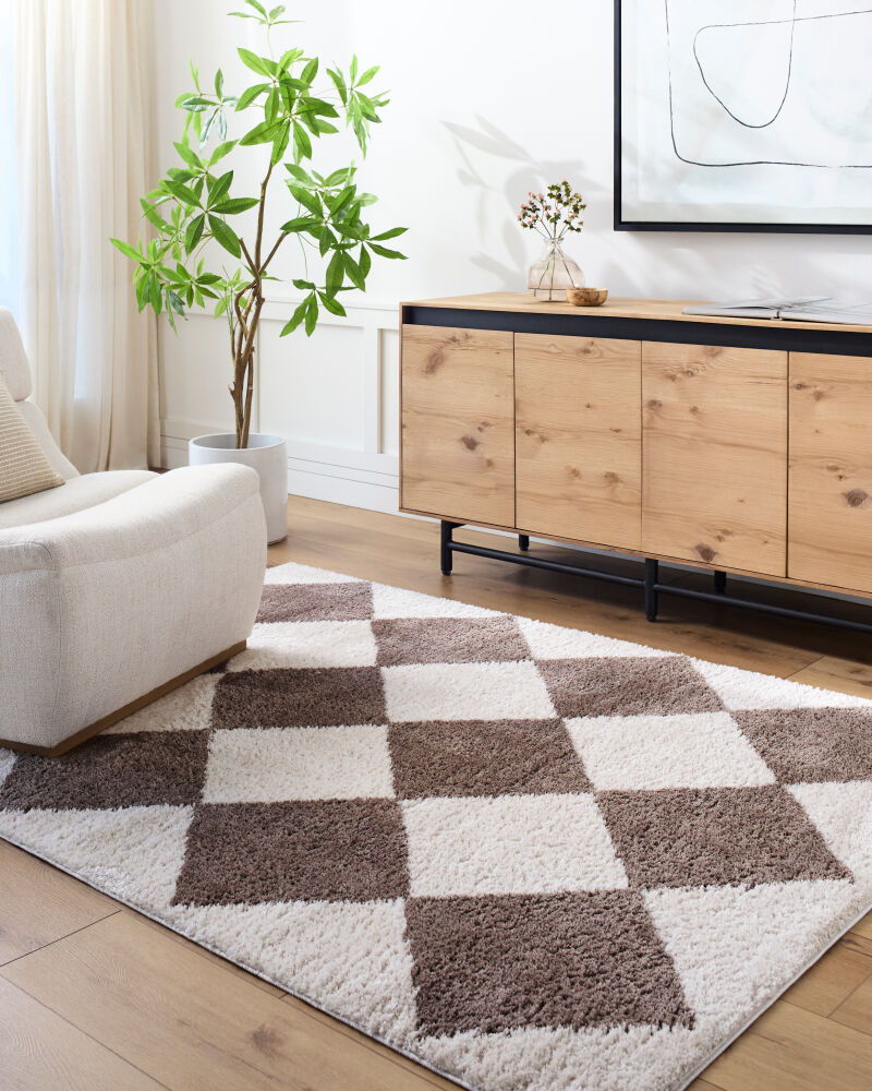 Fossay Shag Machine Woven Rug