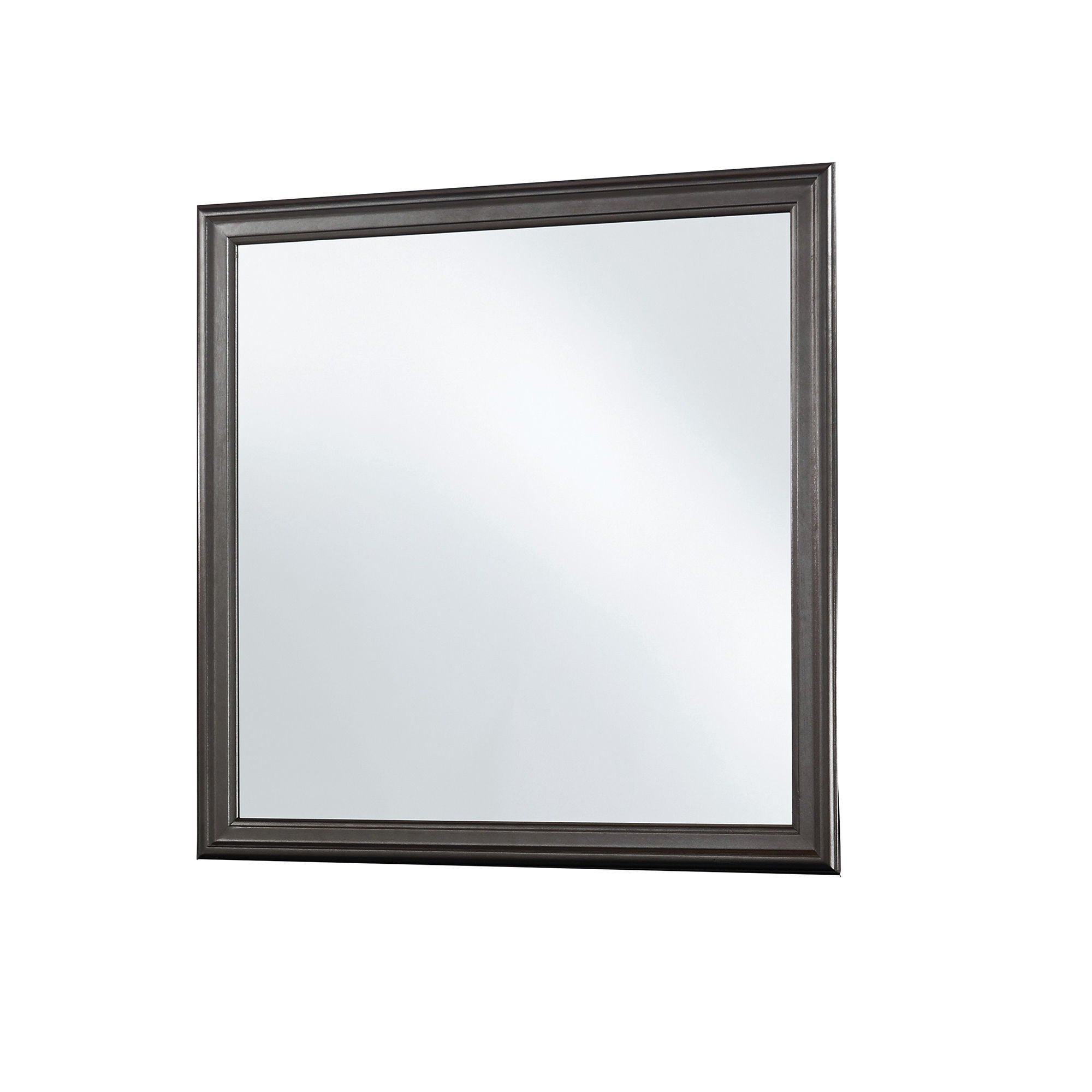 Shaker - Crocodile Metallic Mirror