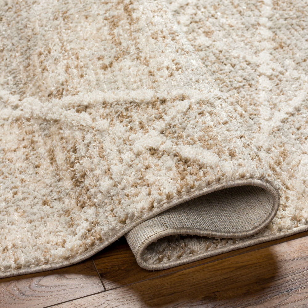 Rudy Machine Woven Rug
