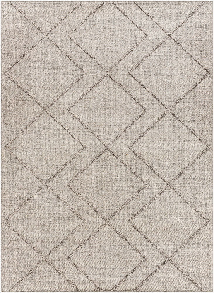 Sarasota Machine Woven Rug