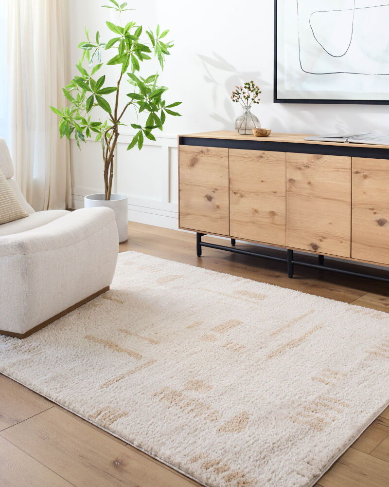 Fossay Shag Machine Woven Rug