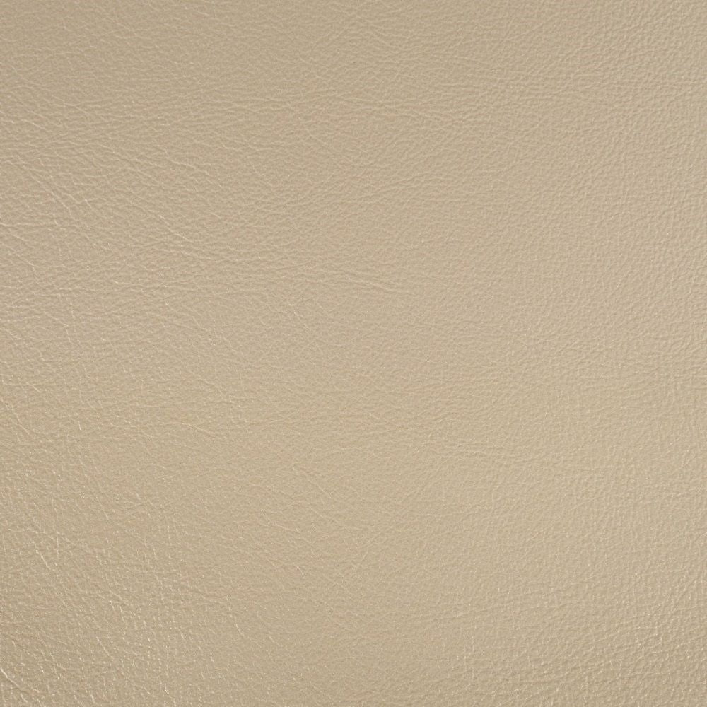 Danae - Arm Chair Set of 2) - Synthetic Leather , Champagne & Gold