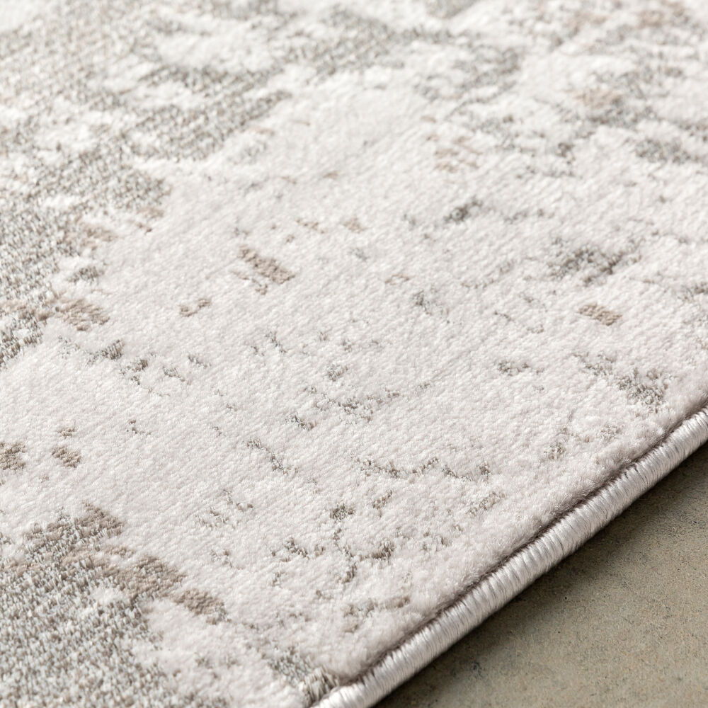 Amadeo Machine Woven Rug