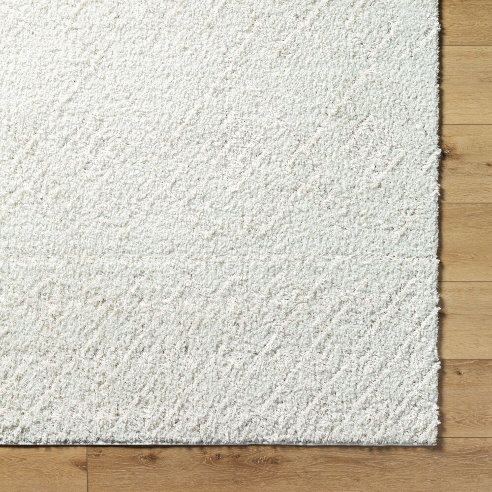 Maryland Shag Machine Woven Rug
