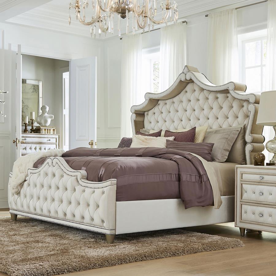 Coaster Fine Furniture Antonella - Upholstered Panel Bed | Meri Furniture