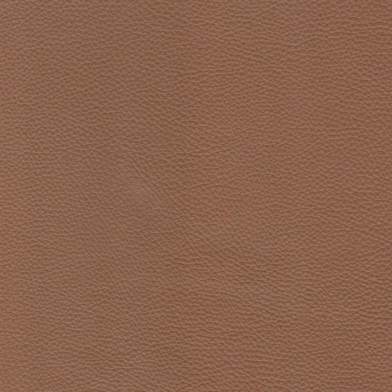 Modern Leather Sofa - Caramel