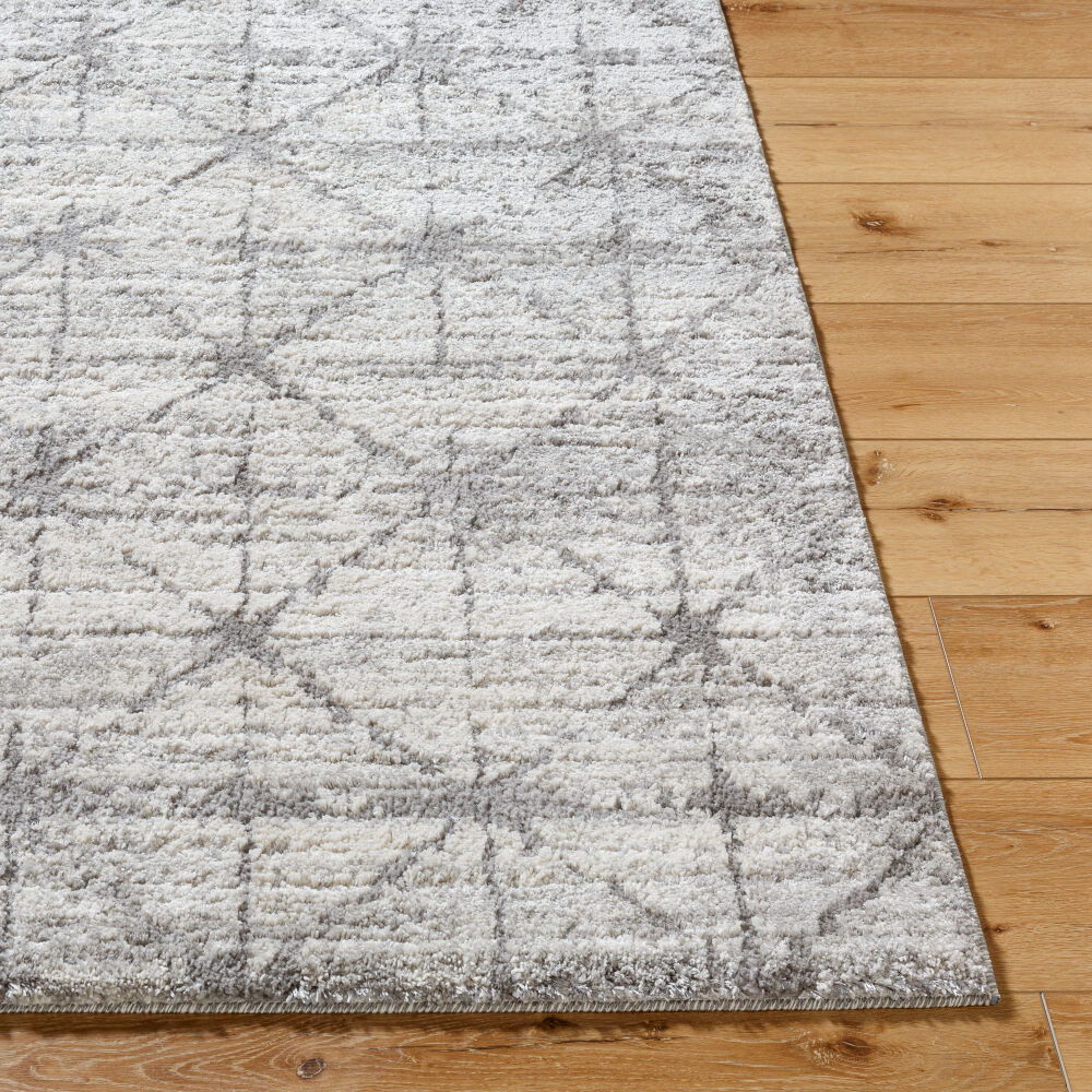 Andorra Plus Machine Woven Rug