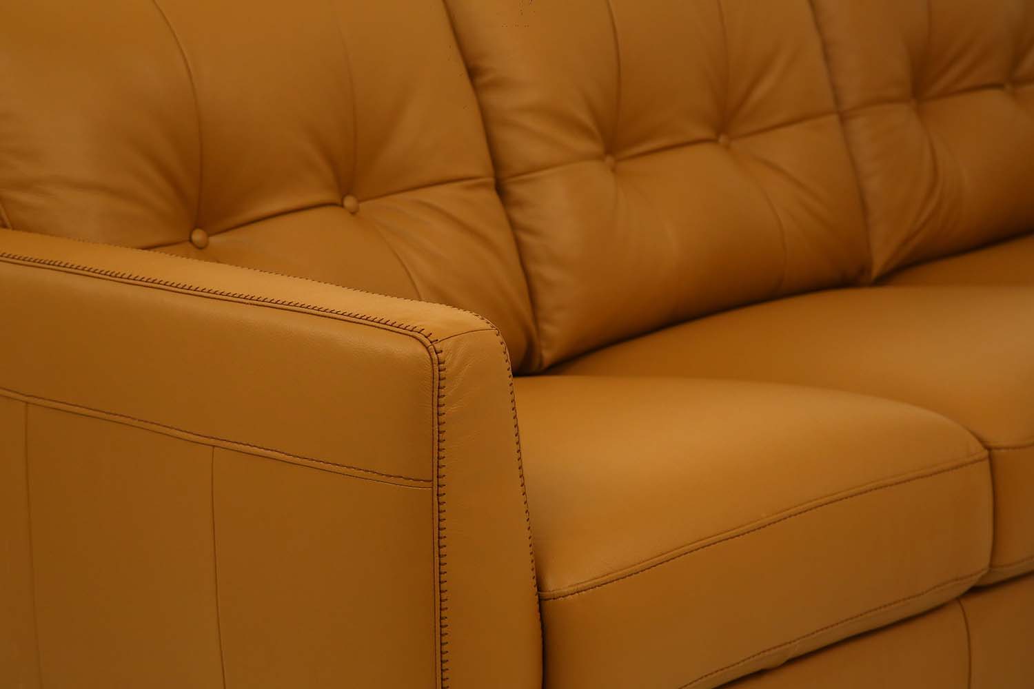 ACME Radwan - Sofa | Meri Furniture