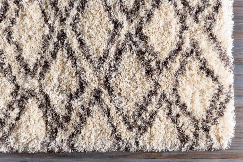 Rhapsody Machine Woven Rug