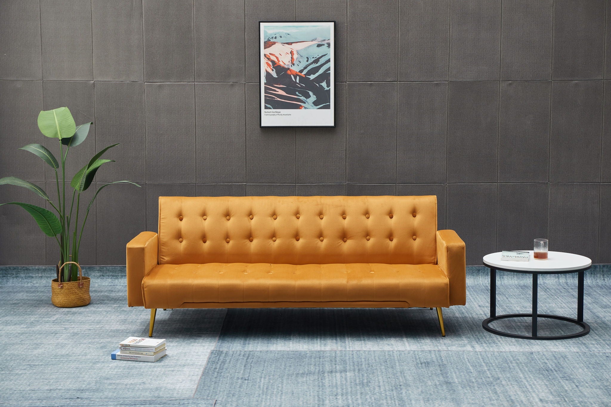 Comfort Compact Design Sofa Bed