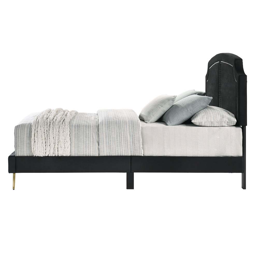 ACME Zeena - Full Bed - Black Velvet | Meri Furniture