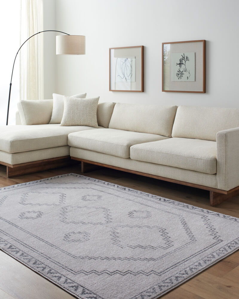 Alpharetta Machine Woven Rug