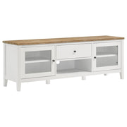 Coaster Fine Furniture Hollis - 2 Door Wood TV Stand With Drawer - Brown And White | Meri Furniture