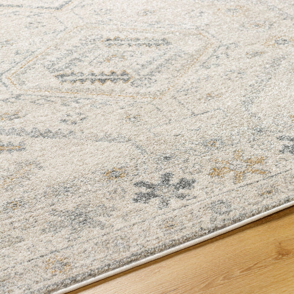 Alpharetta Machine Woven Rug