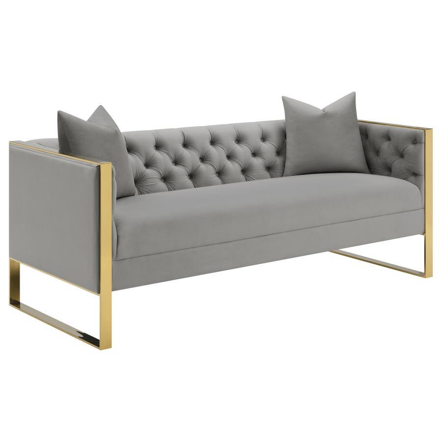 Coaster Fine Furniture Eastbrook - Velvet Upholstered Tufted Sofa - Gray | Meri Furniture