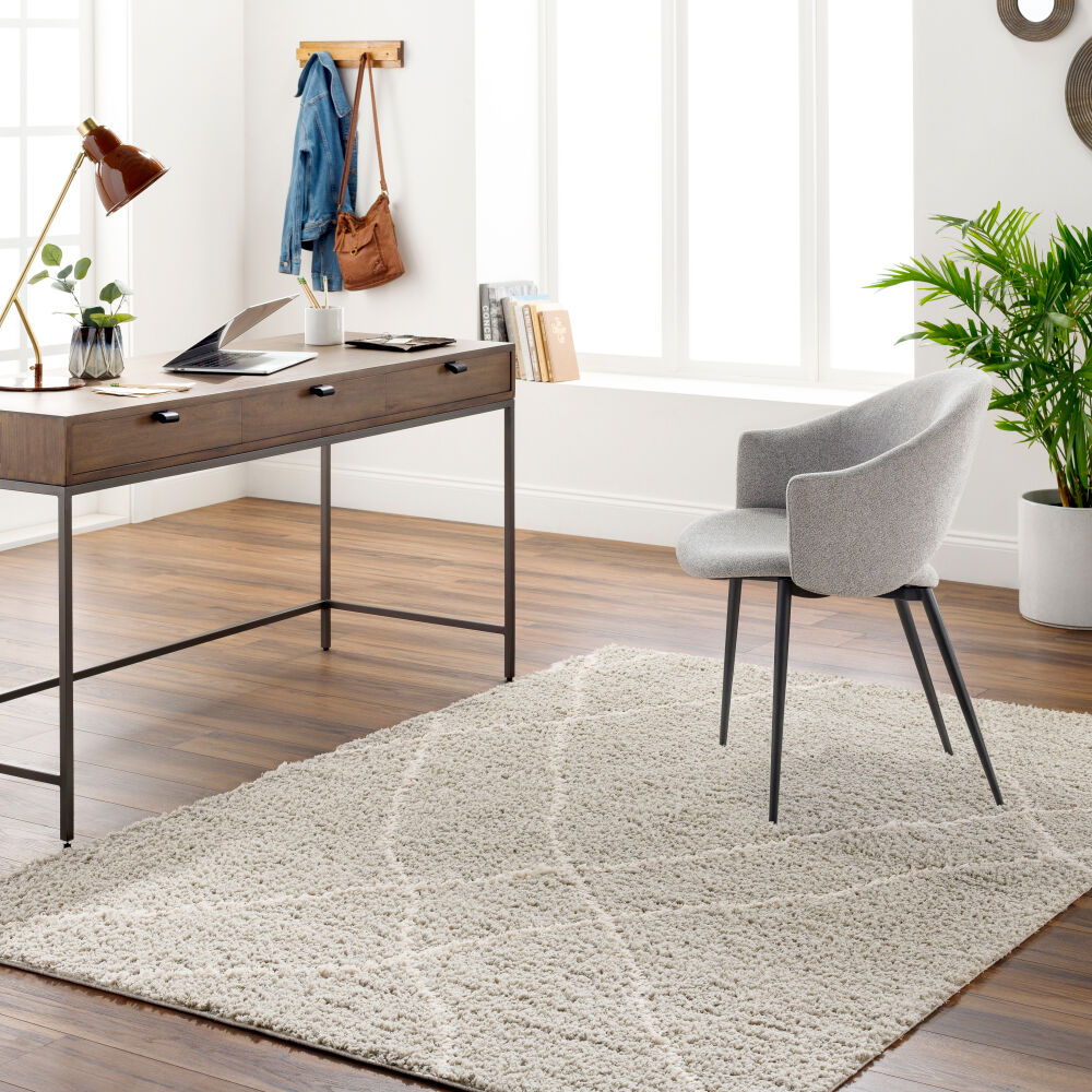Maryland Shag Machine Woven Rug