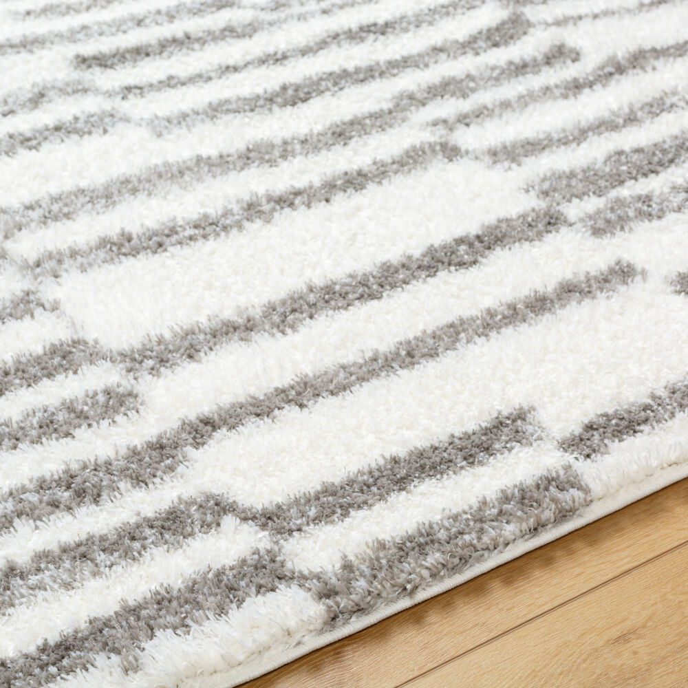 Cloudy Shag Machine Woven Rug